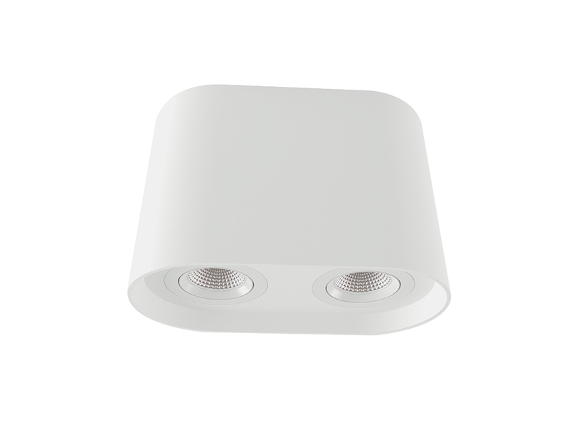 LVY-C2019  Plaster Lamps Ceiling Gypsum Ceiling lights 2*GU10/MR16/COB Indoor Ceiling Lamp